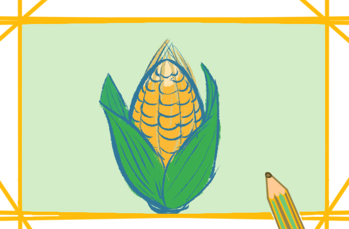 饱满的玉米上色简笔画图片教程步骤