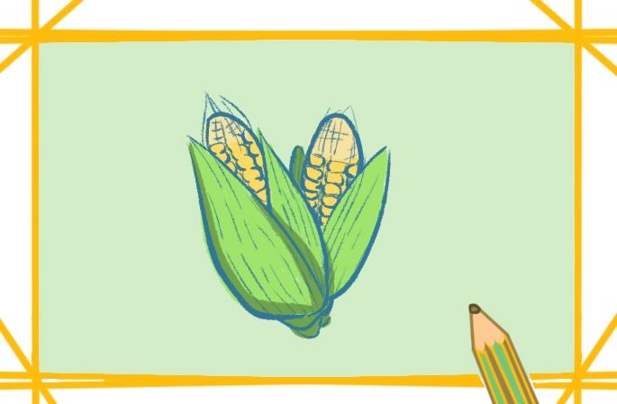 漂亮好看的玉米简笔画教程步骤图片