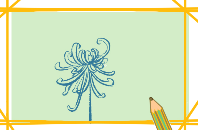 金秋的菊花上色简笔画图片教程步骤